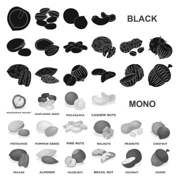 Different kinds of nuts black icons in set collection for design.Nut Food vector Stock Illustration