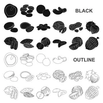 Different kinds of nuts black icons in set collection for design.Nut Food vector Stock Illustration