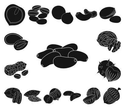 Different kinds of nuts black icons in set collection for design.Nut Food vector Stock Illustration