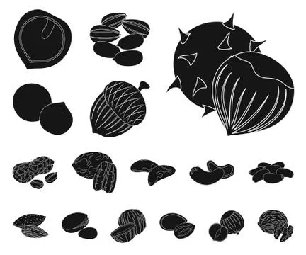 Different kinds of nuts black icons in set collection for design.Nut Food vector Stock Illustration