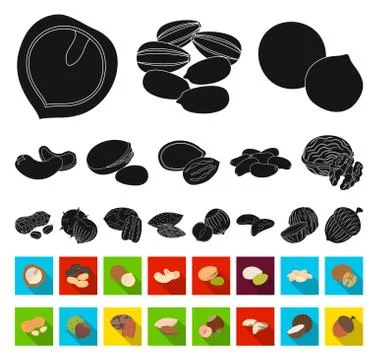 Different kinds of nuts black,flat icons in set collection for design.Nut Food Stock Illustration