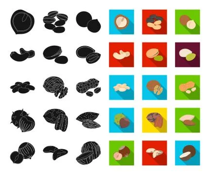Different kinds of nuts black,flat icons in set collection for design.Nut Food Stock Illustration
