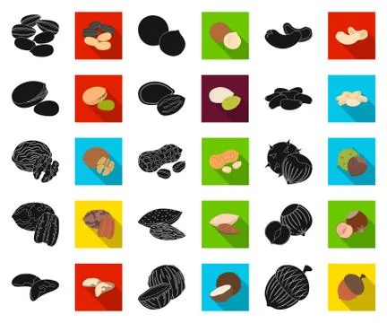 Different kinds of nuts black,flat icons in set collection for design.Nut Food Stock Illustration
