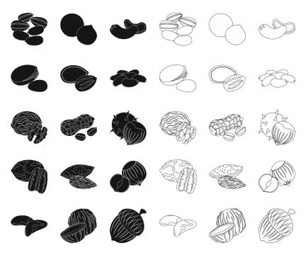 Different kinds of nuts black,outline icons in set collection for design.Nut Stock Illustration