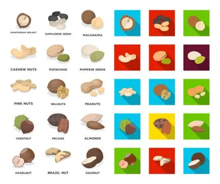 Different kinds of nuts cartoon,flat icons in set collection for design.Nut Food Stock Illustration
