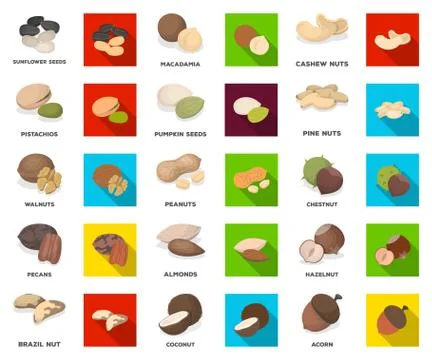 Different kinds of nuts cartoon,flat icons in set collection for design.Nut Food Stock Illustration