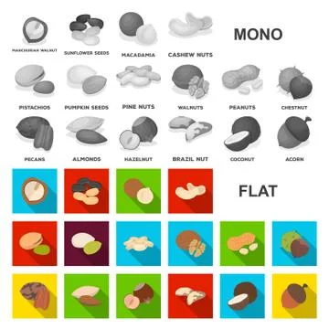 Different kinds of nuts flat icons in set collection for design.Nut Food vector Stock Illustration