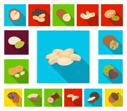 Different kinds of nuts flat icons in set collection for design.Nut Food vector Stock Illustration