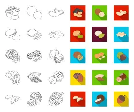 Different kinds of nuts outline,flat icons in set collection for design.Nut Food Stock Illustration
