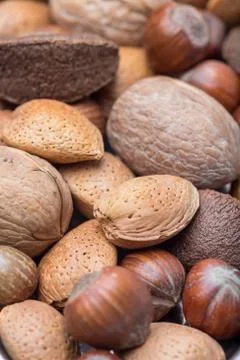 Different kinds of nuts in shell, hazelnut, walnut, almond and brazil nuts Foto stock