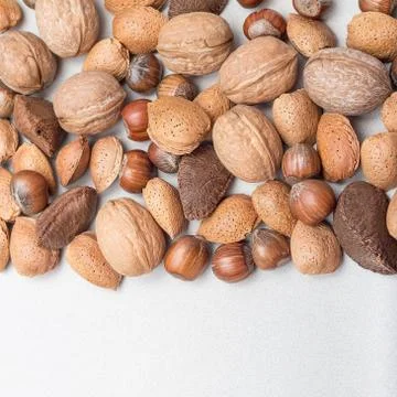 Different kinds of nuts in shell, hazelnut, walnut, almond and brazil nuts 스톡 사진
