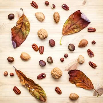 Different kinds of nuts walnuts kernels ,hazelnuts, almond kernels and pecan Stock Photos
