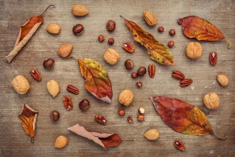 Different kinds of nuts walnuts kernels ,hazelnuts, almond kernels and pecan Stock Photos