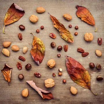 Different kinds of nuts walnuts kernels ,hazelnuts, almond kernels and pecan Stock Photos