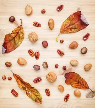 Different kinds of nuts walnuts kernels ,hazelnuts, almond kernels and peca.. Stock Photos