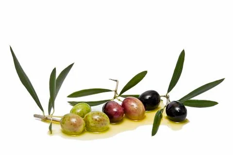 Different kinds of olives. Stock Photos