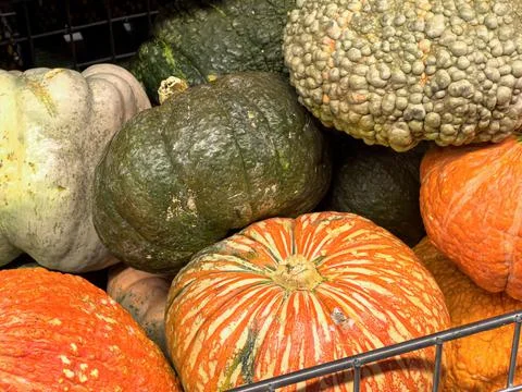 Different kinds of pumpkins displayed in a basket at the market. Stock Photos