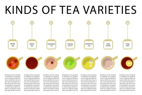 Different kinds of tea Stock Illustration
