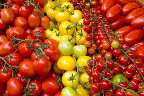 Different kinds of tomatoes Stock Photos