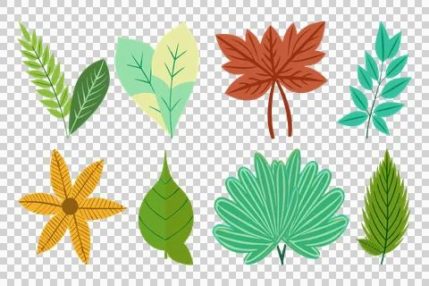 Different leaf collection vector, leaf vector, leaf art, leaf design イラスト素材