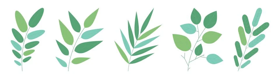 Different leaves 스톡 일러스트