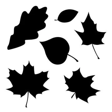 Different leaves silhouettes Stock Illustration
