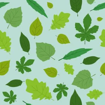 Different Leaves Wallpaper Seamless Pattern Background Stock Illustration