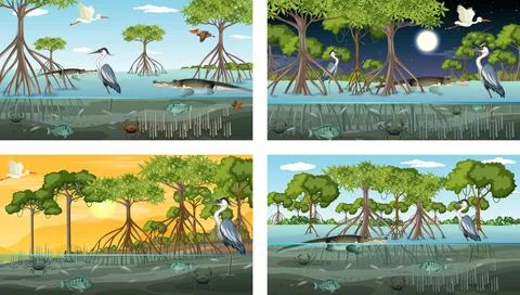 Different mangrove forest landscape scenes with various animals Stock Illustration