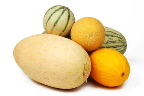 Different melon Stock Photos