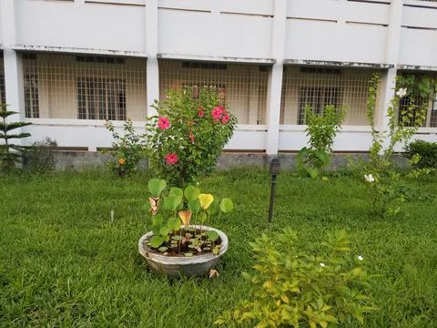 Different Mini Garden Stock Photos