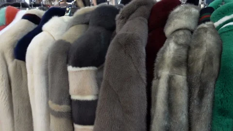 Different models of mink coats hang on hangers in a row Stock Footage 113353656