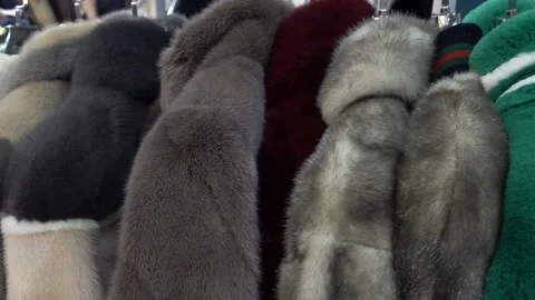 Different models of mink coats hang on hangers in a row Stock Footage 113353708