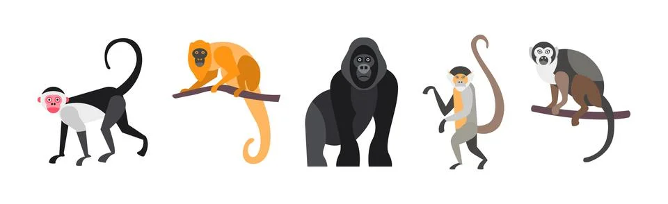Different Monkey Animal with Long Tail Vector Set Stock Illustration