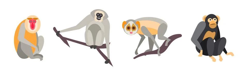 Different Monkey Animal with Long Tail Vector Set Stock Illustration
