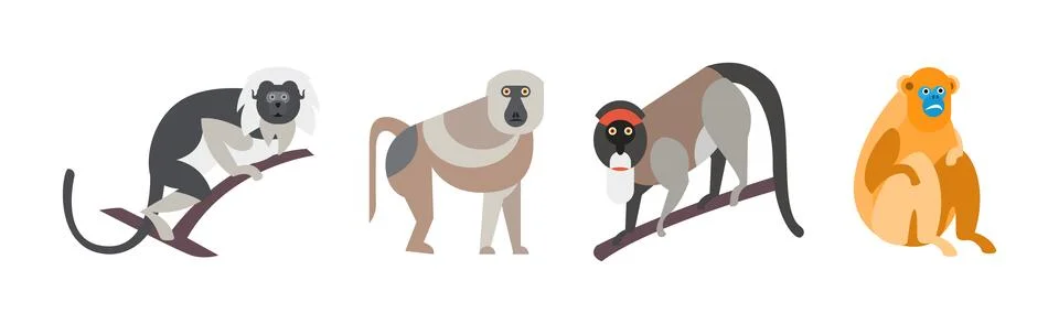 Different Monkey Animal with Long Tail Vector Set Stock Illustration