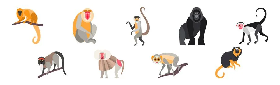 Different Monkey Animal with Long Tail Vector Set Stock Illustration