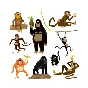 Different monkeys in different poses, 2016 symbol Stock Illustration