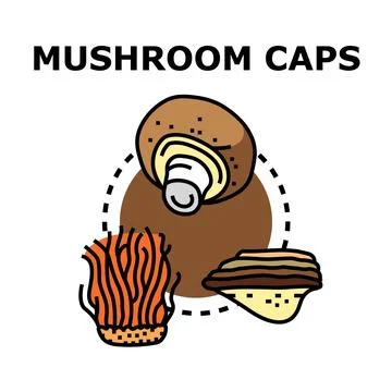 Different mushroom caps vector illustration concept drawing Stock Illustration