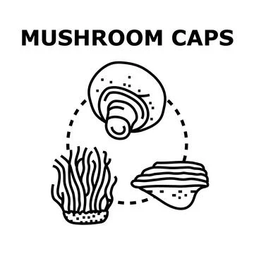 Different mushroom caps vector illustration concept drawing Stock Illustration