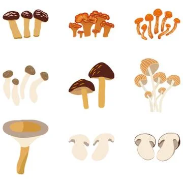 Different mushrooms set. Illustrazione stock
