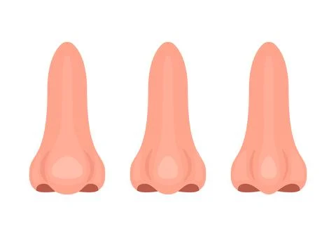 Different nose, correction nasal big and thin, surgery rhinoplasty. Nose before Stock Illustration