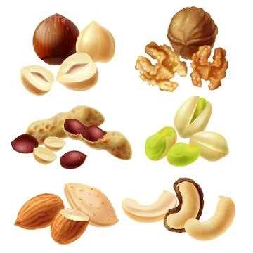 Different nuts realistic set Stock Illustration