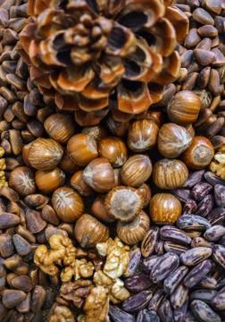 Different nuts in the shell and without it scattered on the table. Stock Photos