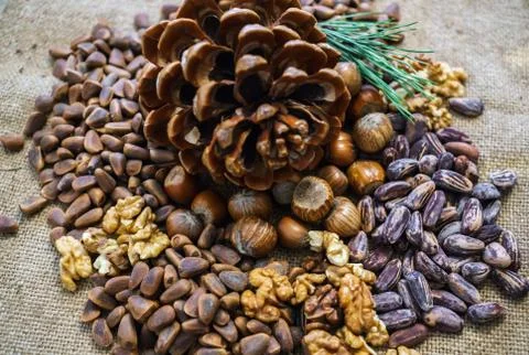 Different nuts in the shell and without it scattered on the table. Stock Photos