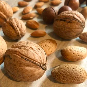 Different nuts in the shell, close-up Stock Photos