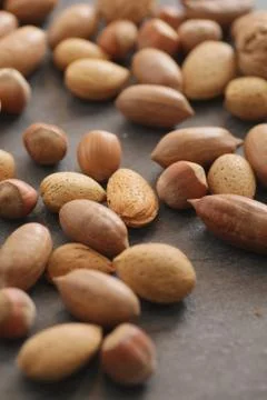 Different nuts shell Stock Photos