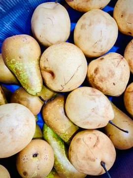 Different pears in the tray in the store. A close-up. Mobile photo. Stock Photos