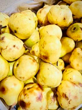Different pears in the tray in the store. A close-up. Mobile photo. Stock Photos