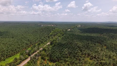 Different perspective shows distant hills Stock Footage 337984220