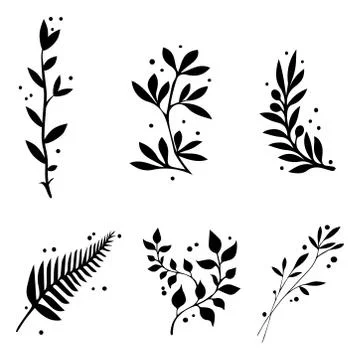 Different plants patterns on a black background Stock Illustration